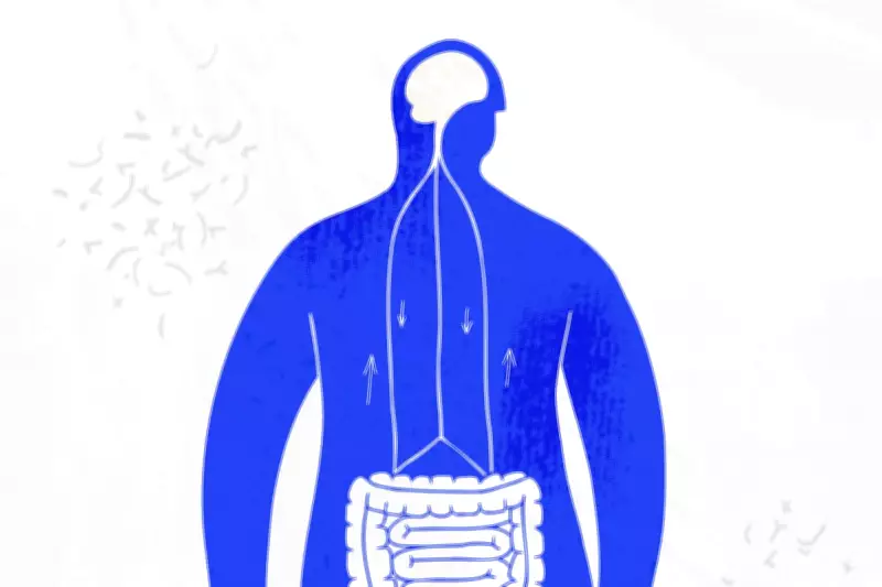 The Vagus Nerve Revolution: How Bioelectric Medicine Is Transforming Healthcare