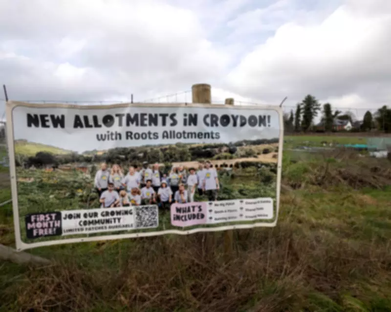 The War Over Privatised Allotments: Roots' Expansion Sparks Nationwide Protests