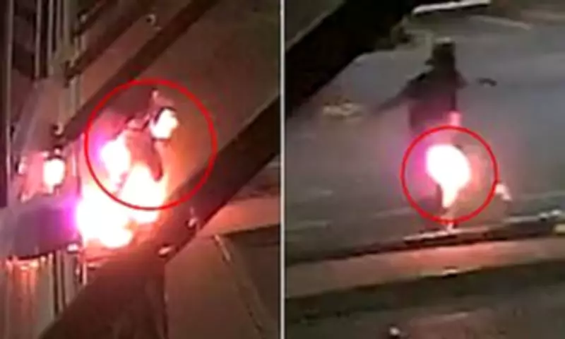 Thief Sets Himself Alight in Botched Robbery, CCTV Captures Dramatic Fireball