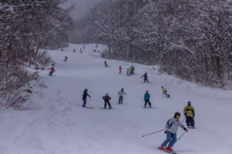 Third Australian Dies in Japan Ski Season as Heavy Snowfall Causes Multiple Fatalities