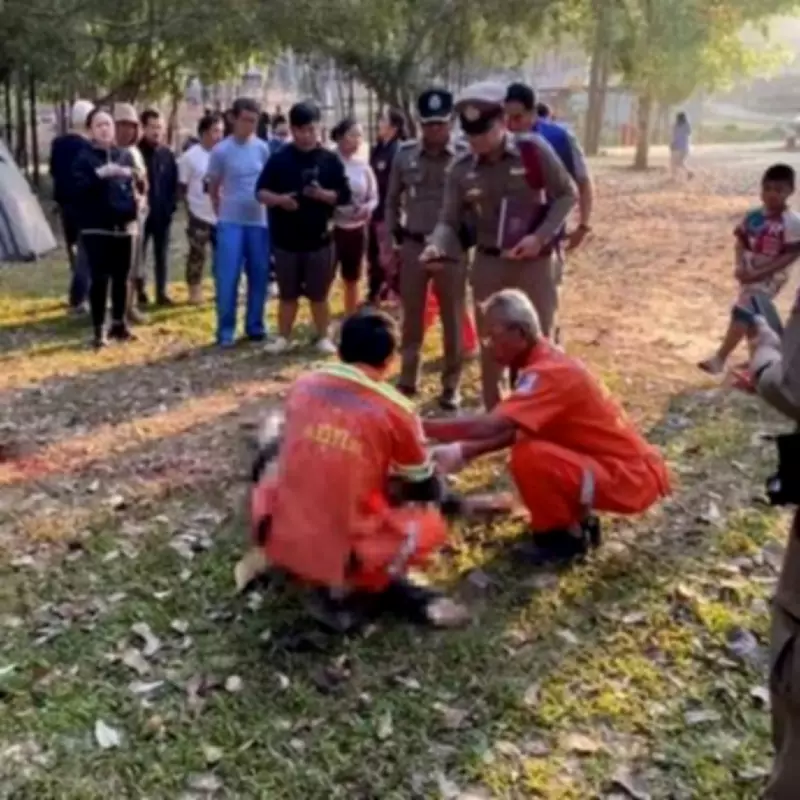 Third Tourist Killed by Same Bull Elephant in Thailand's Khao Yai National Park