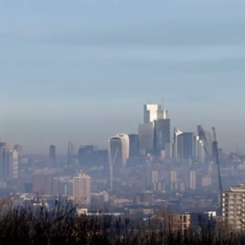 Tiny NYC Apartment Tour Sparks Debate Over Missing Toilet