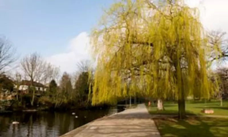 Toddler Hospitalised After Alleged Dog Attack in East London Park