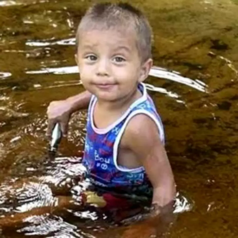 Toddler's Tragic Driveway Death Sparks Parental Warning on Vehicle Safety