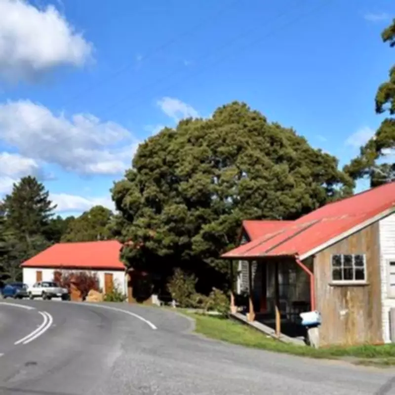 Tourists Duped by AI: Visitors Trek to Non-Existent Tasmanian Hot Springs