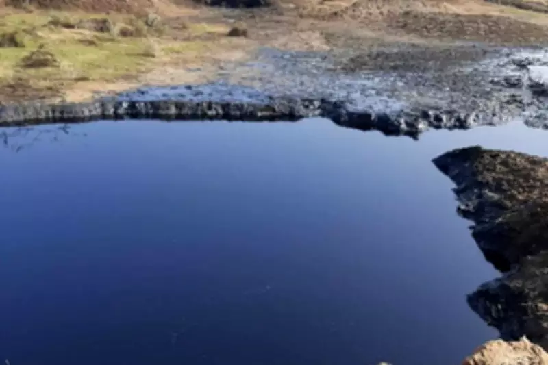 Toxic Oil Barrels Sold as Water Tanks Spark Health Crisis in Iraqi Marshlands