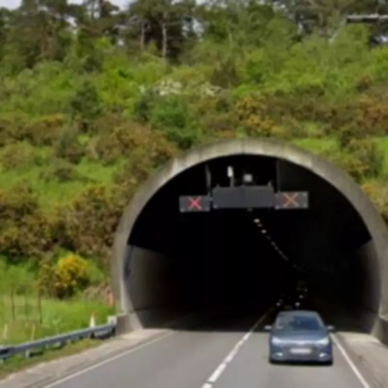 Tragic A3 Crash Claims Lives of Seven-Year-Old Girl and Woman in Hindhead