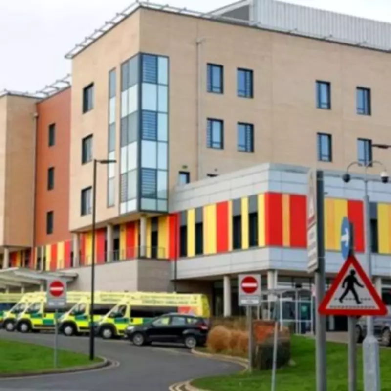 Tragic Death of Four-Year-Old Boy After Swallowing Fridge Magnets