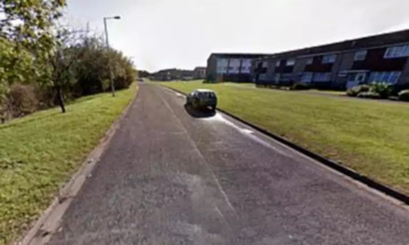 Tragic Skate Park Stabbing Claims Life of Man in His 20s, Teen in Critical Condition