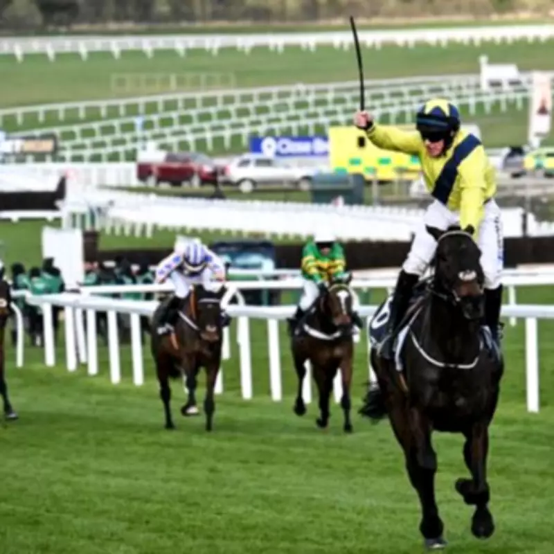 Trainer Confident Marine Nationale Will Defend Cheltenham Crown Despite Defeat