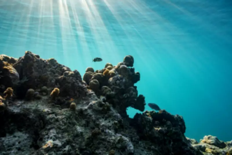 Trump Administration Urges Nations to Oppose UN Climate Resolution