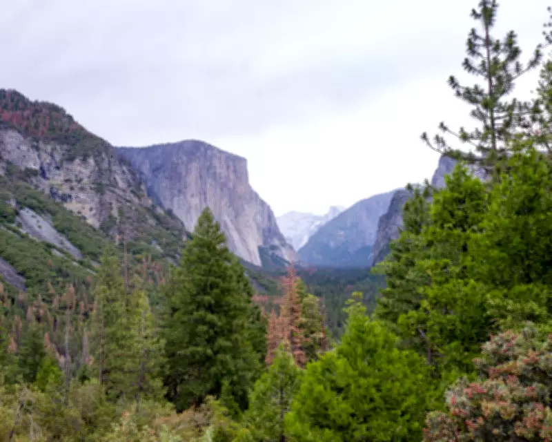 Trump Nominates Hospitality Executive with Yosemite Trademark History to Lead National Park Service