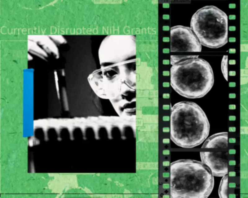 Trump's Science Cuts Trigger US Brain Drain, Threatening Biomedical Leadership