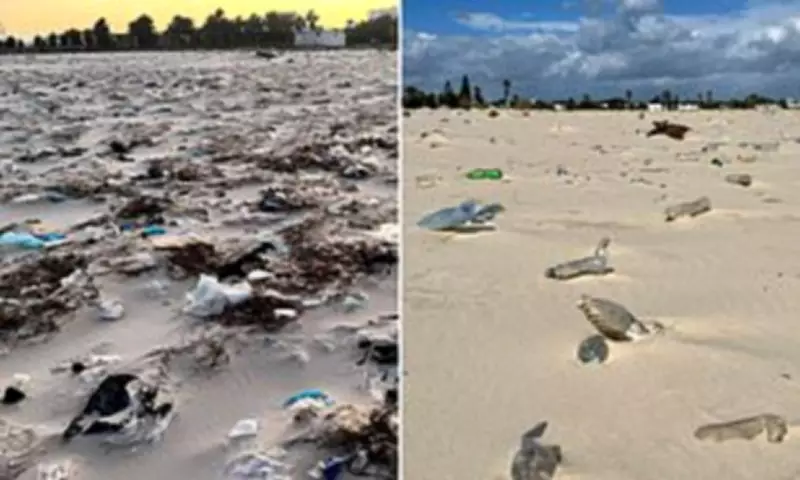 Tunisian Holiday Beaches Blighted by Plastic Waste, Tourists Shocked