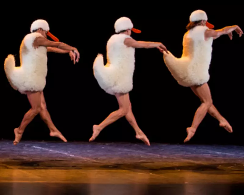 Tutu Review: Chicos Mambo's Ballet Parody Delivers Disco Swan Lake and Laughs