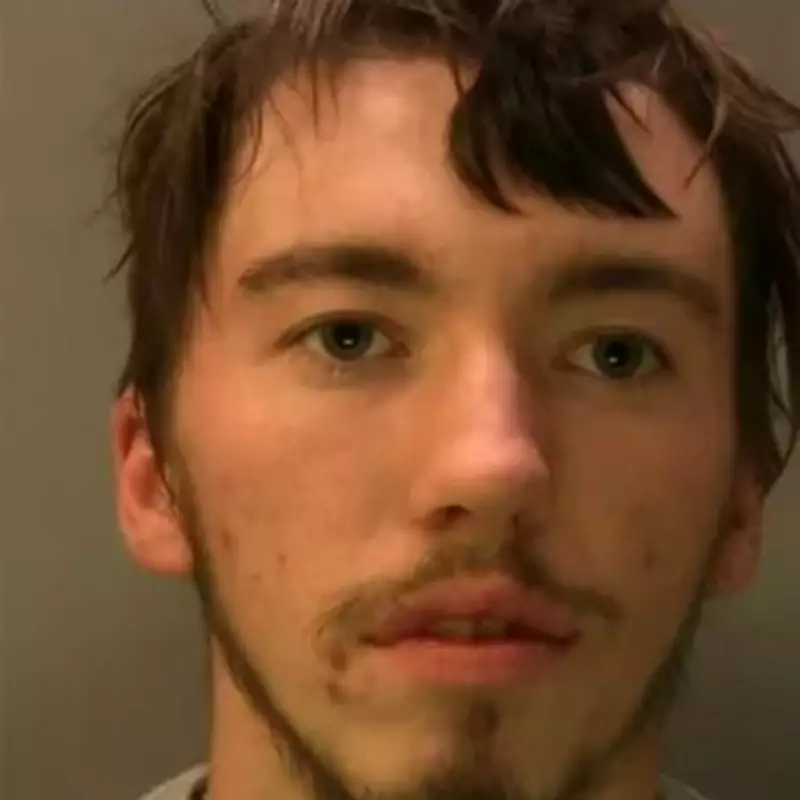 Two Men Jailed for Sadistic Sheep Attack Involving Beating and Explosives