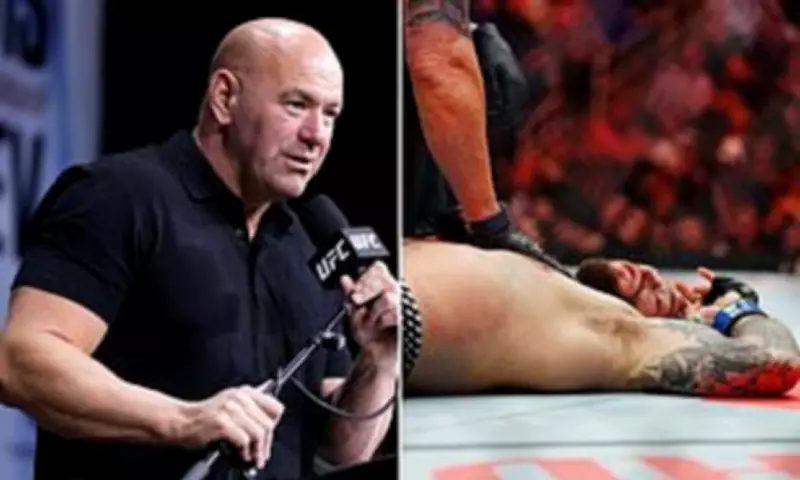 UFC Fighter Hospitalised After Brutal Knockout in Houston Fight Night