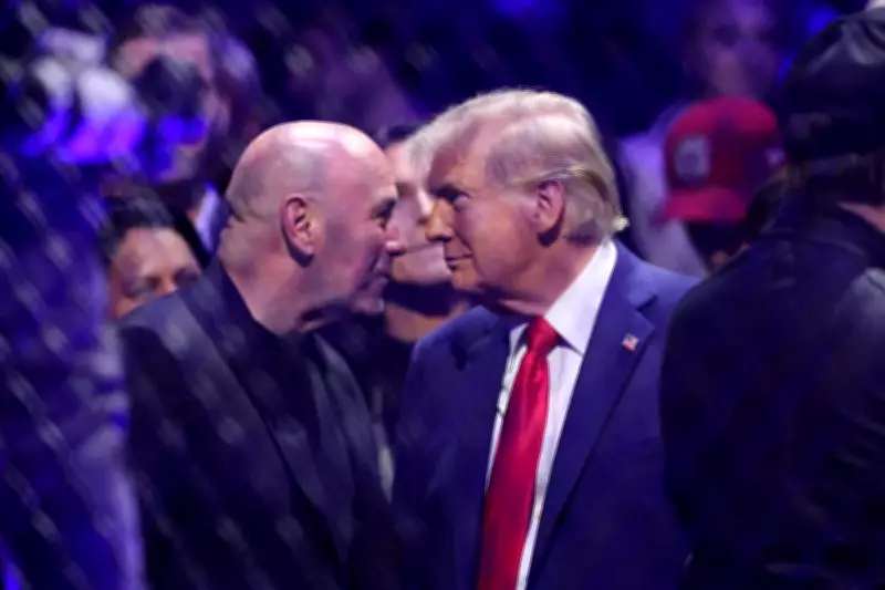 UFC's Dana White Urges Fans to Look Past Politics, Despite $30M White House Loss