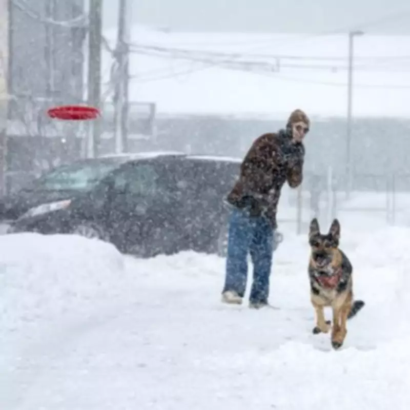 UK Braces for 'Beast from the East' Blizzard with Snow and -4C Temperatures