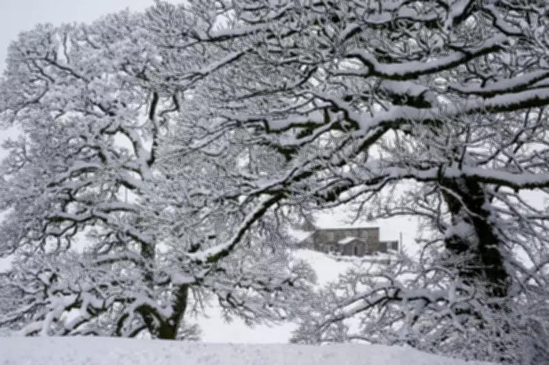 UK Braces for Continued Wintry Weather with Snow and Ice Warnings