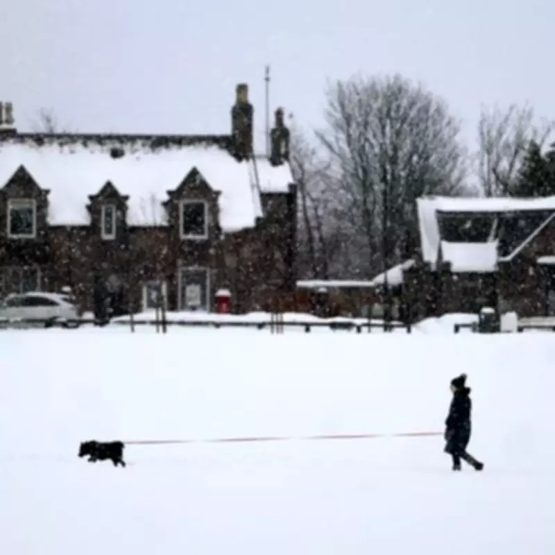UK Braces for Five-Day Snow Onslaught, 95% of Nation to be Blanketed