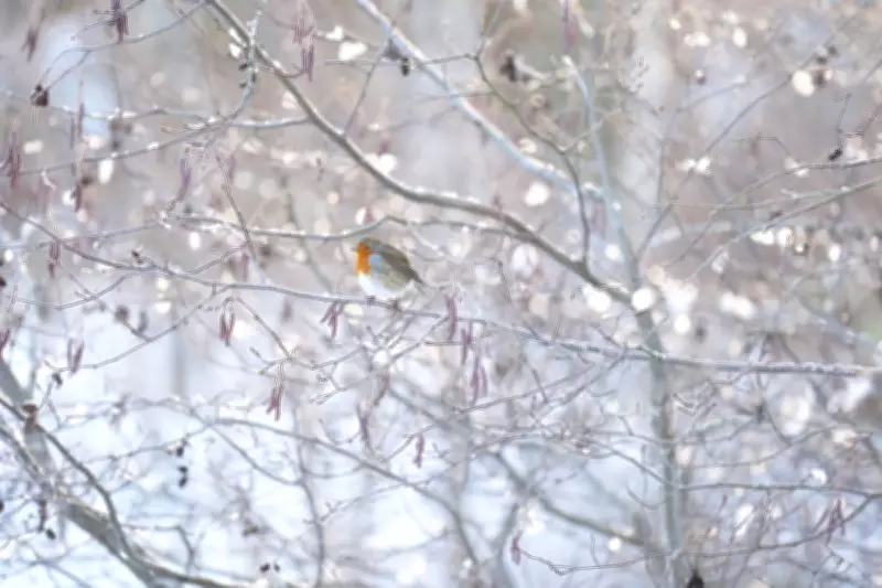 UK Braces for Week of Rain, Ice, and Flooding Disruption