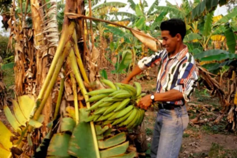 UK Faces 'Once-in-a-Decade' Chance to Reform Global Supply Chain Laws