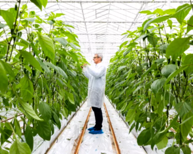 UK Food Producers Warn of 'Ticking Timebomb' as Energy Charges Soar