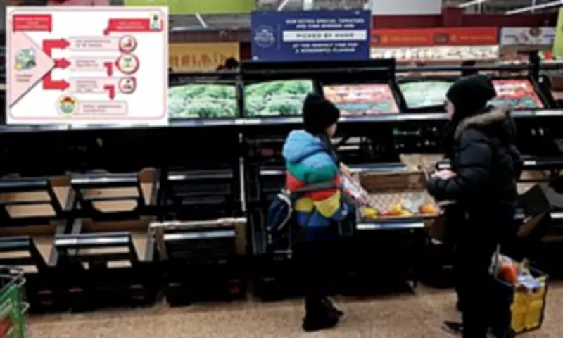 UK Food System Vulnerable to Crisis: Study Warns of Potential Riots from Supply Shocks