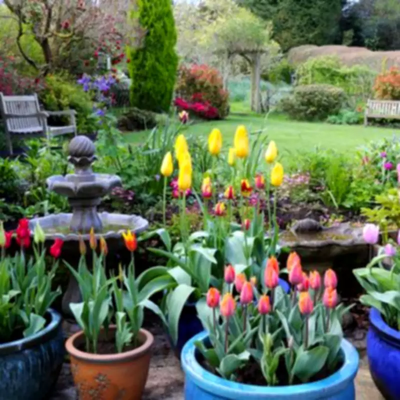 UK Gardeners Urged to Delay Planting Due to Wet Winter Conditions
