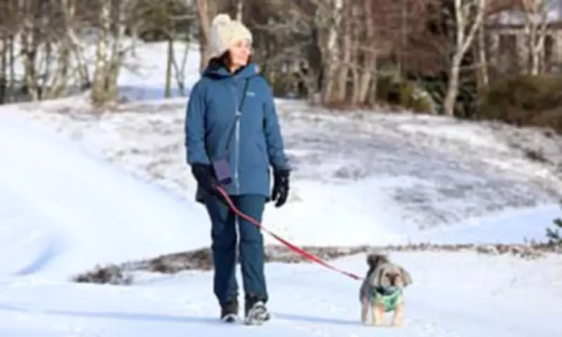 UK Half Term Weather Chaos: Snow and Flood Warnings Threaten Family Breaks