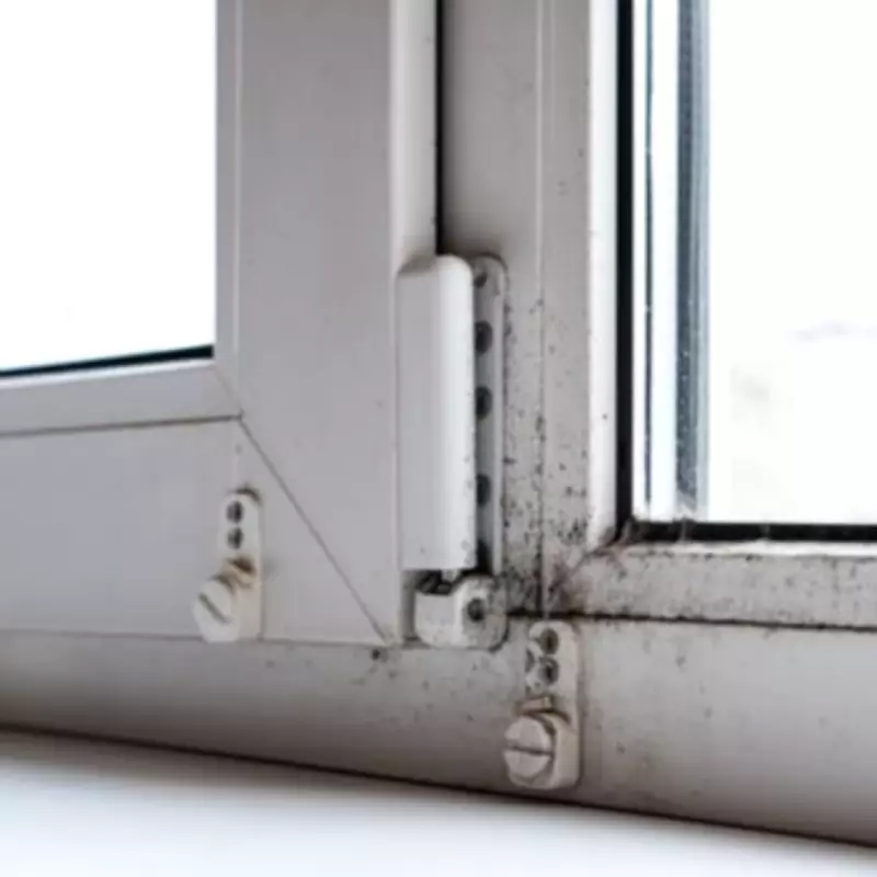 UK Homes Urged to Use Lemon Juice as Natural Black Mould Remover