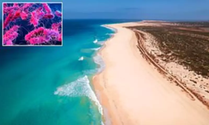 UK Issues Cape Verde Travel Warning After 1,500 Brits Fall Ill, Six Die