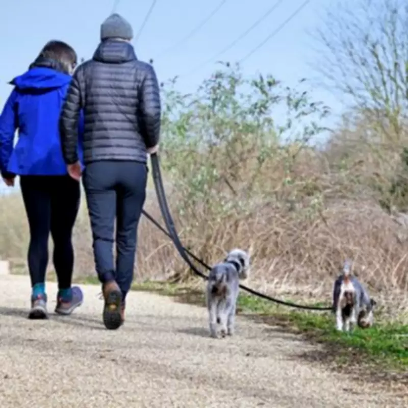 UK Pet Owners Face New Laws: Dog Seizures and Primate Licences