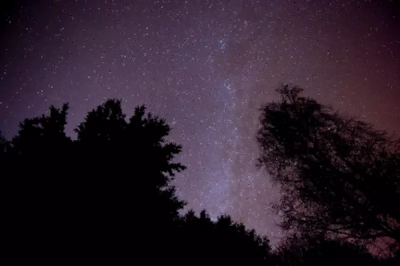 UK Space Rocket Firm Orbex to Appoint Administrators After Funding Failure