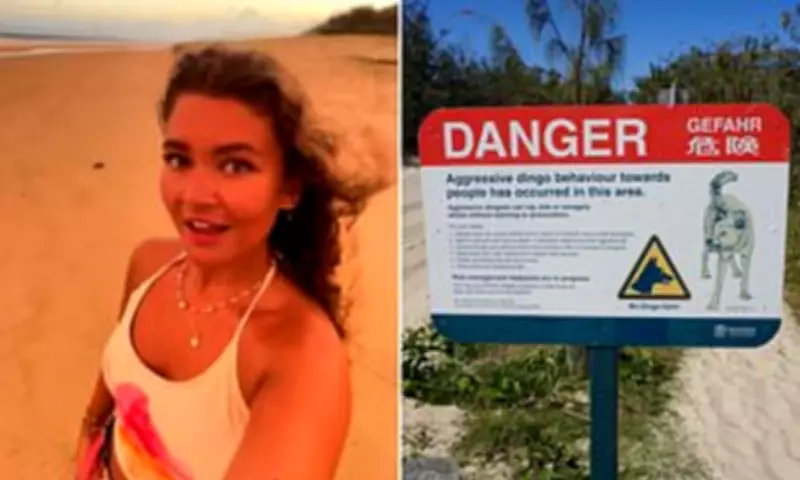 UK Tourist's K'gari Video Sparks Outrage After Dingo Tragedy