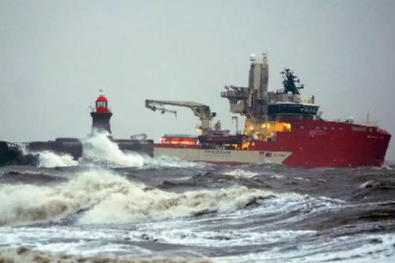 UK Wind Power Hits Record High in Stormy January, Slashing Gas Costs