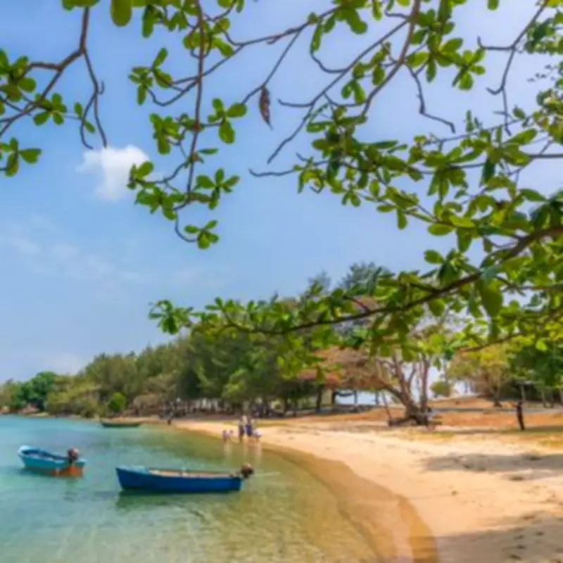 UKHSA Investigates Cape Verde Illness Outbreak After Six British Deaths