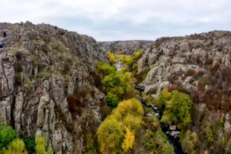 Ukrainian Scientists Battle to Save Rare Plants Amid Russian Invasion
