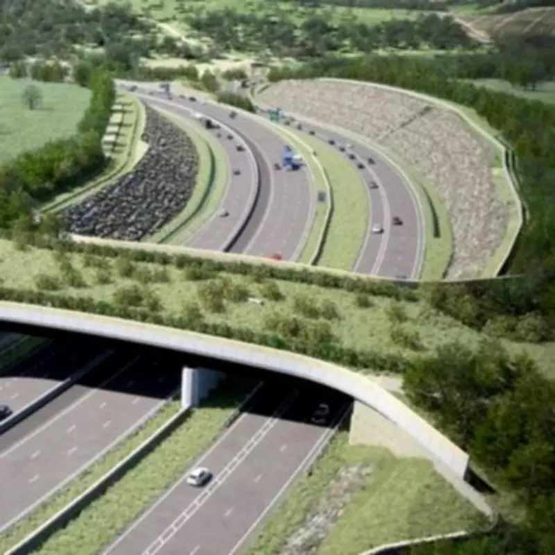 UK's Largest Wildlife Bridge to Open in 2027, Aiding Deer and Owls