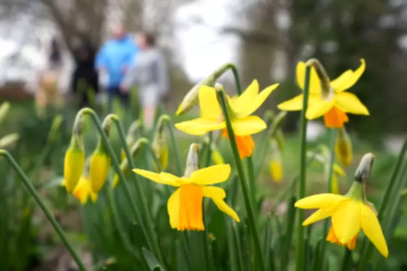 UK's Sunny Spell to Fade as Cloud and Rain Return This Week