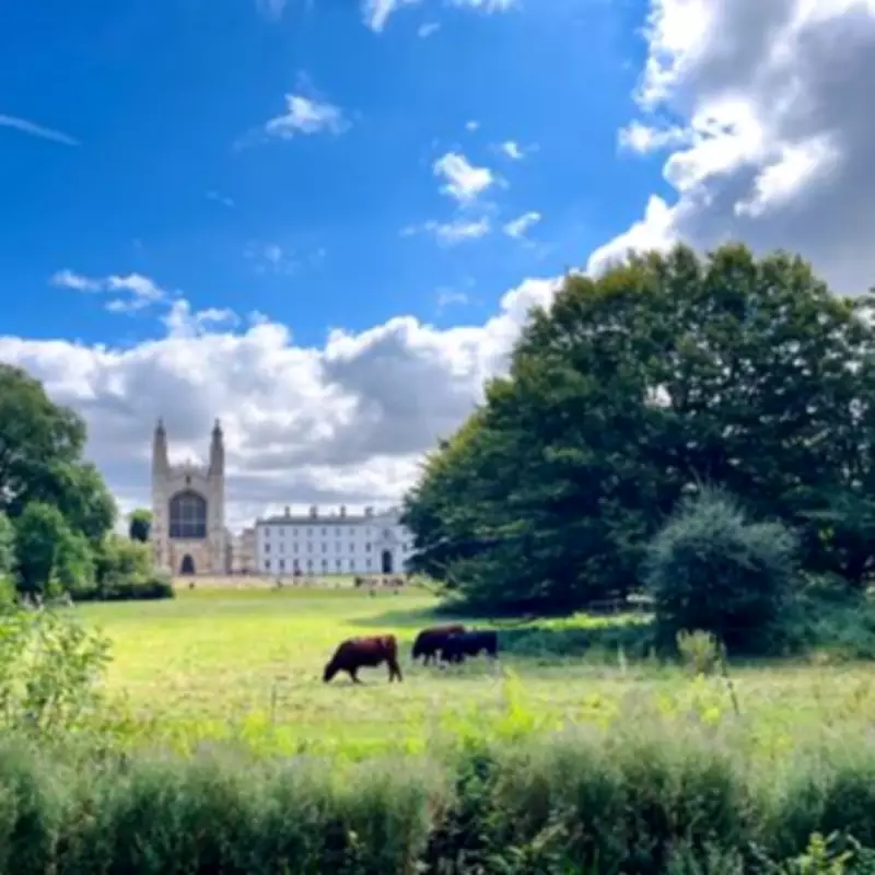 UK's Top 10 Driest Destinations to Escape the Rainy Weather