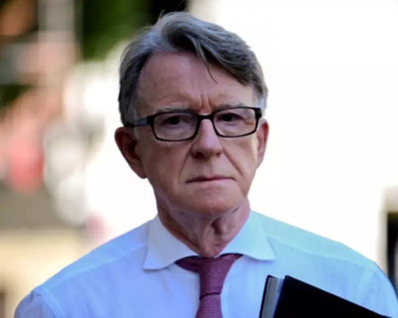 US Congress Demands Mandelson Testimony Over Epstein Links