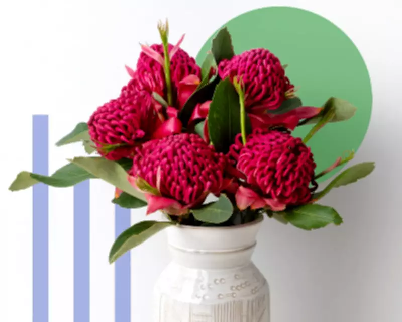 Valentine's Day Flowers: The Environmental Cost of Imported Blooms
