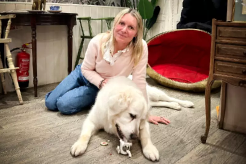 Valentine's Day with Pets: Half of Gen Z Prefer Canine Companions to Partners