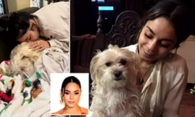 Vanessa Hudgens Mourns Beloved Dog Darla's Passing in Heartbreaking Tribute
