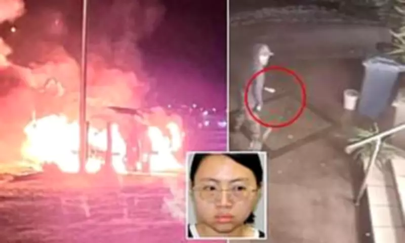 Vengeful Backpacker Jailed for Six Years After Petrol Attack Reign of Terror