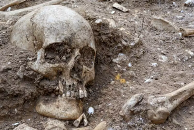 Viking Age Mass Grave Near Cambridge Reveals 'Extremely Tall' Man with Ancient Brain Surgery