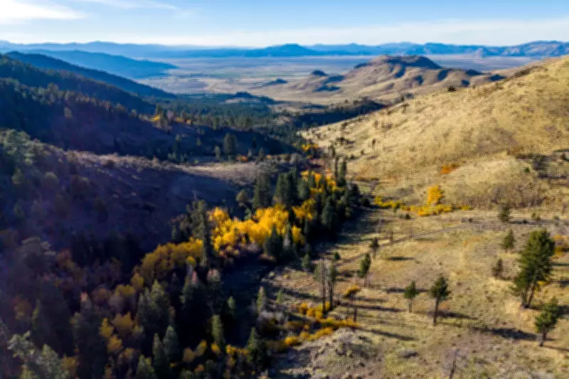 Washoe Tribe Secures 10,000 Acres in Major California Land Return