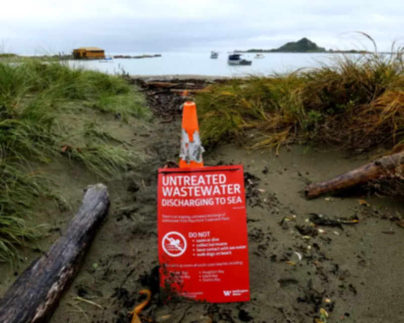 Wellington's Sewage Catastrophe: Millions of Litres Pollute Marine Reserve